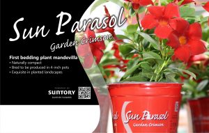 Sun Parasol Garden Crimson