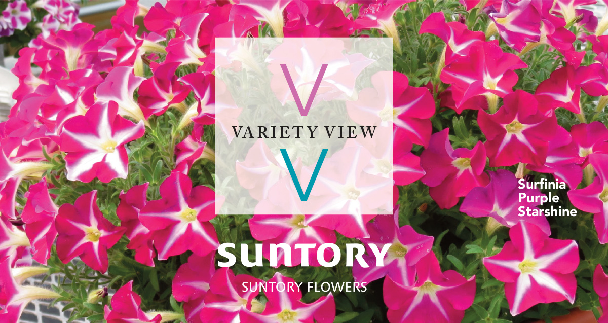 Suntory Flowers Variety View