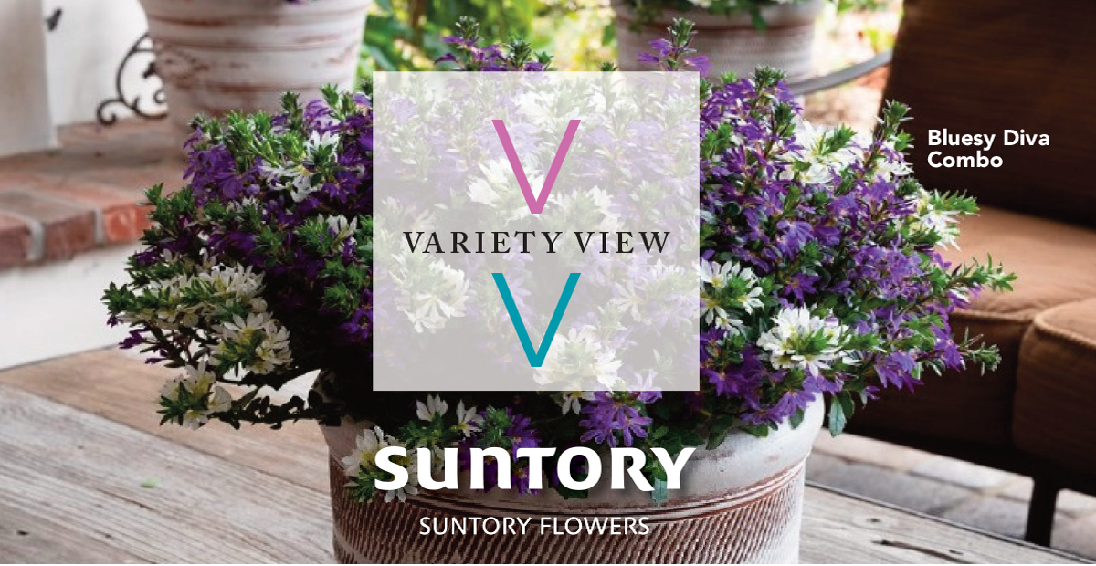 Suntory Flowers Variety View newsletter header image