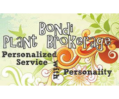 Bondi Plant Brokerage