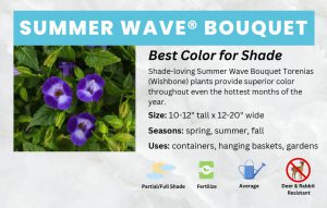 thumbnail of Summer-Wave-Bouquet-Deep-Blue-Bench-Card-11×7