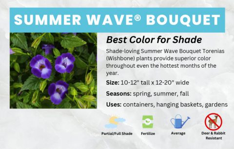 thumbnail of Summer-Wave-Bouquet-Deep-Blue-Bench-Card-11×7