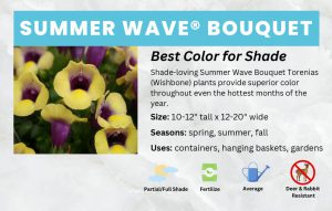 thumbnail of Summer-Wave-Bouquet-Violet-Bench-Card-11×7