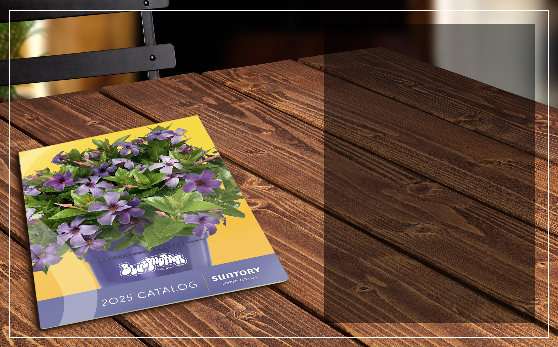 Suntory flower source book