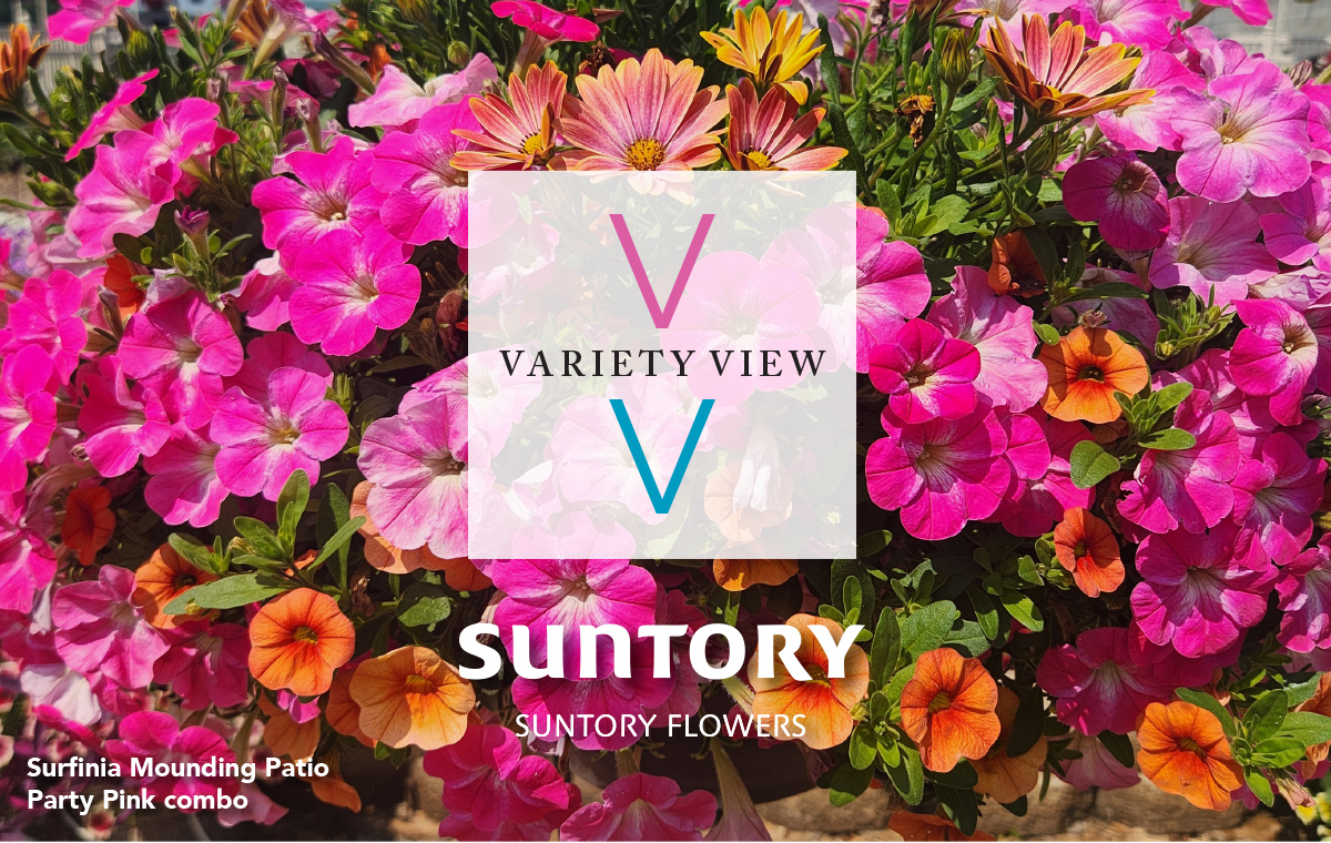 Suntory Variety View